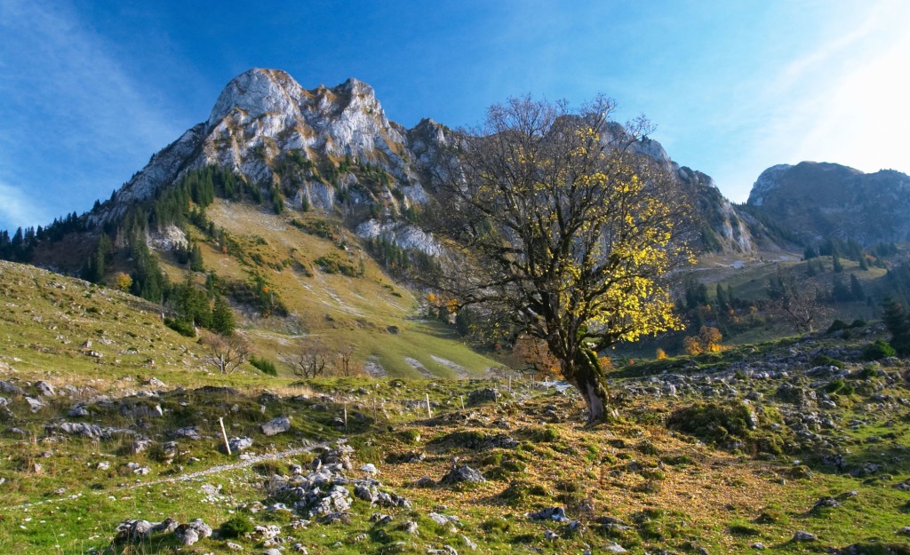 Jura planine