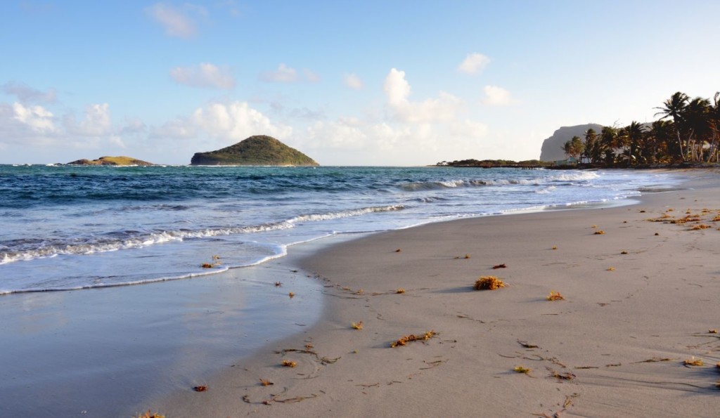 Credits: Lucia, Carribean,Beach by Pauws99 - Can Stock Photo