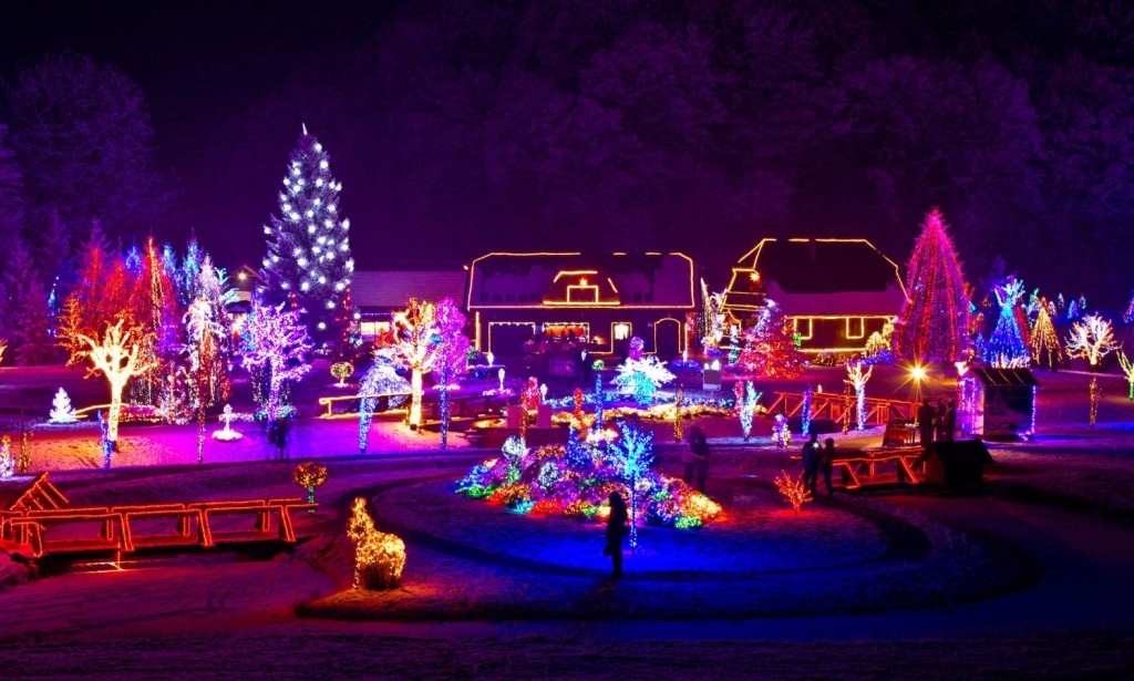 Source: xbrchx/cazma/salaj/travel/123trf