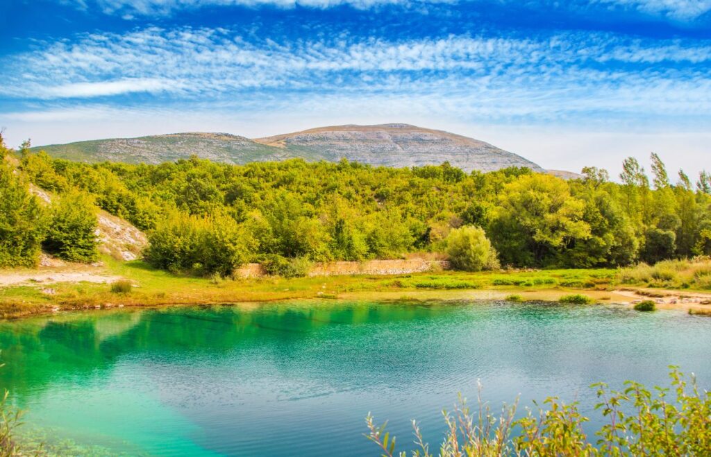 Cetina